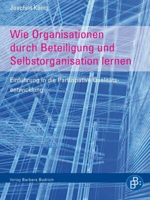 cover image of Wie Organisationen durch Beteiligung und Selbstorganisation lernen